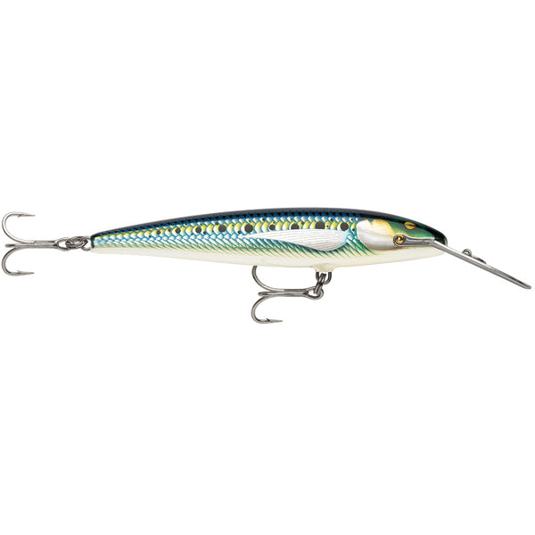 Rapala CountDown Magnum Elite 145 - 5-3/4" - Armored Sardine [CDMAGE145AMSRD]