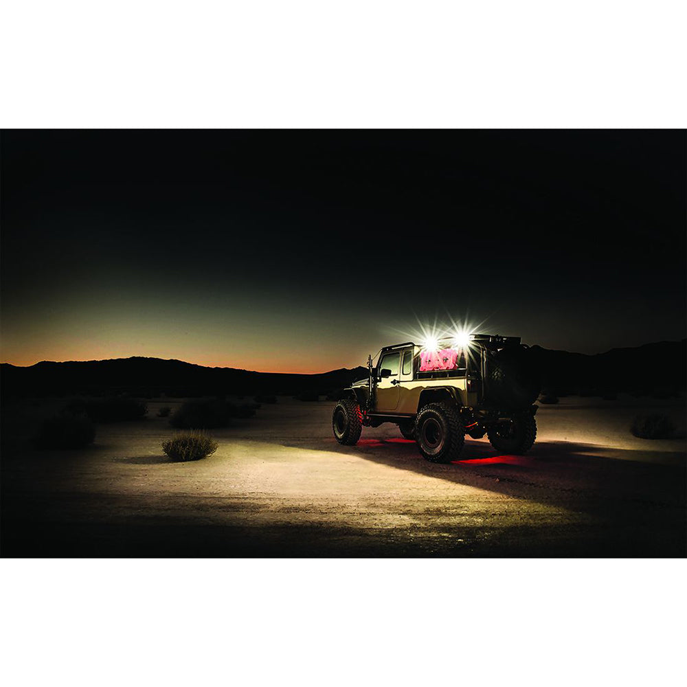 RIGID Industries 1&quot; x 2&quot; 65 - DC Scene Light - White [86620]